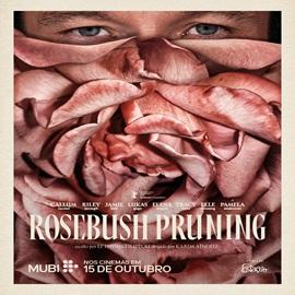 Rosebush Pruning